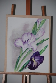Aquarell / 36x48 (Nr. 19)