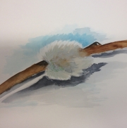 Aquarell (Nr. 28)